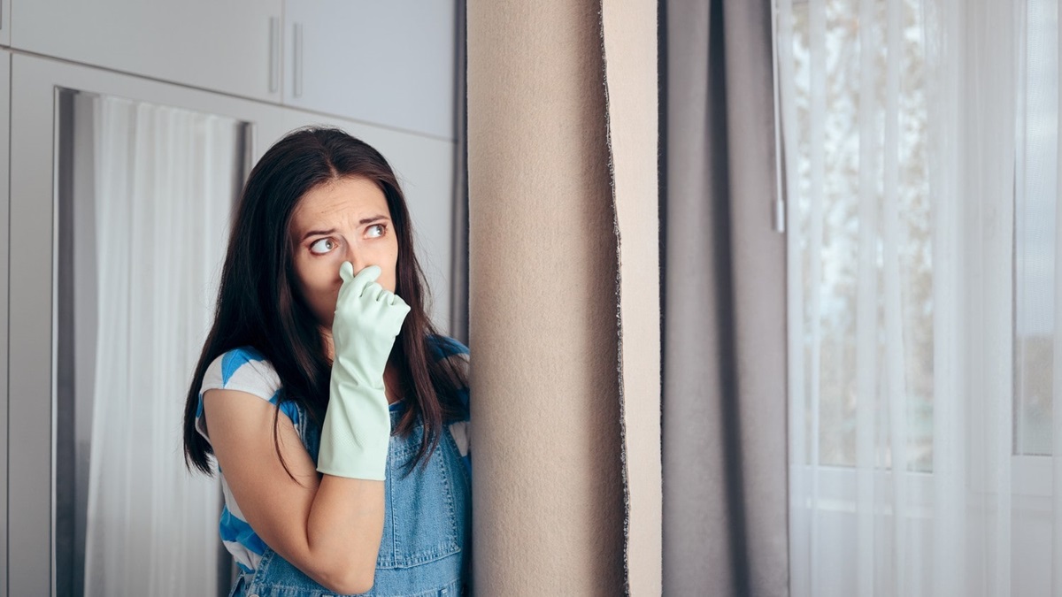 8 Signs You Need Professional Odor Removal Services