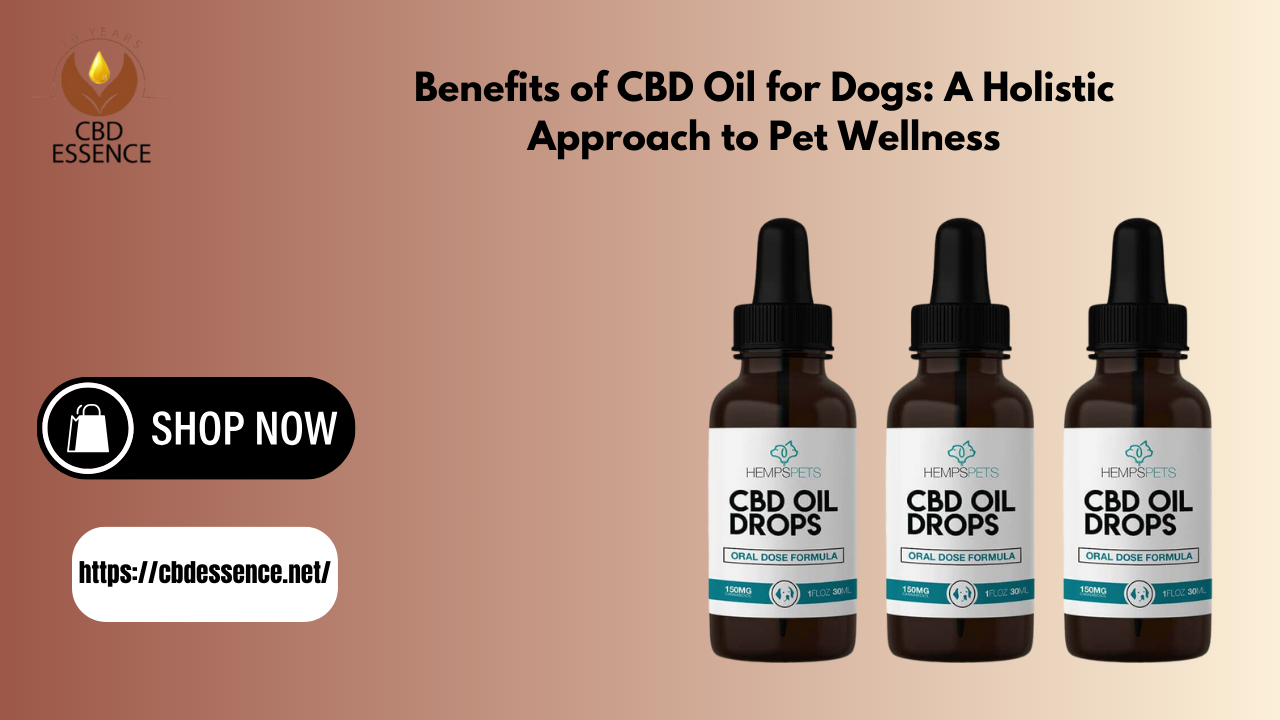 CBD Oil for Dogs