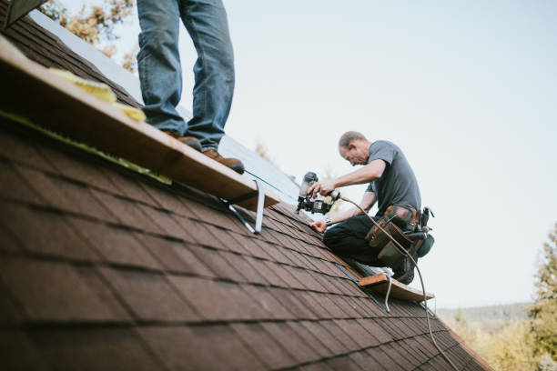 How a Professional Roofing Company Can Enhance Your Home’s Value