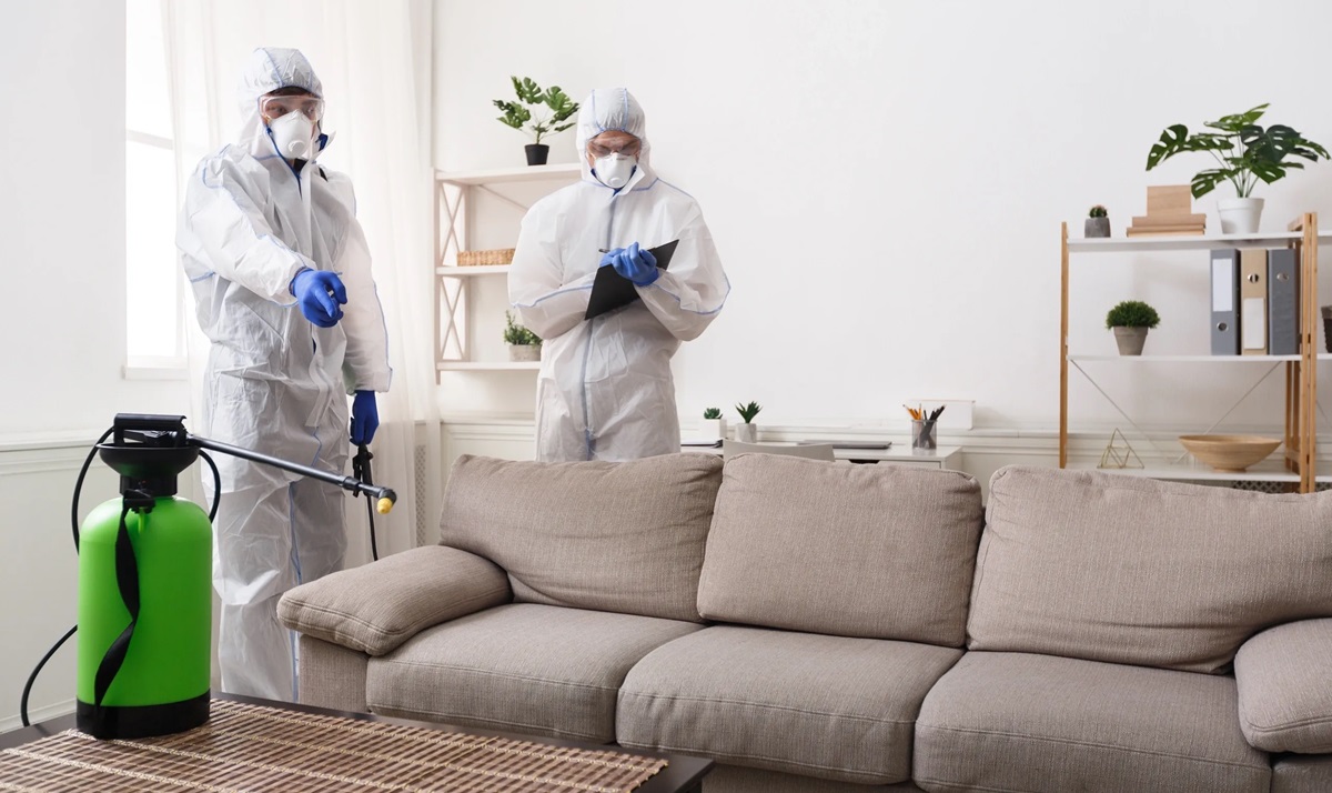 professionals finding the sources of odor from house