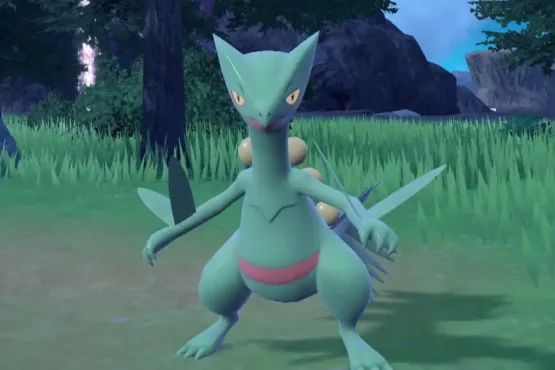 Sceptile Tera Raid